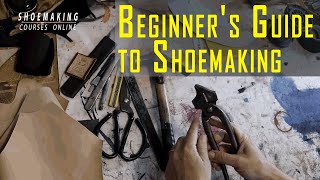 Steam Cleaner  How to Steam Clean a Tennis Shoe [upl. by Aglo]