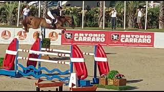 BODEGA SEMILLY  Championnats dEurope Junior Oliva 2022  Chasse [upl. by Yrrep135]