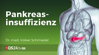 Ist Pankreasinsuffizienz heilbar  Dr med Volker Schmiedel  Naturmedizin  QS24 [upl. by Daniele]