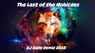 The Last of the Mohicans DJ Salle Remix [upl. by Terri]