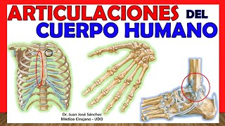 🥇 ARTICULACIONES DEL CUERPO HUMANO EN 17 minutos  Resumen [upl. by Atinal]