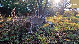 RATTLING in a MAGNUM 8 POINT Hunting the RUT [upl. by Htennaj]