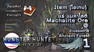 ไอเทม MHW  แร่ Machalite Ore  ป่าบรรพกาล Ancient Forest 1  Monster Hunter World Items [upl. by Arlo442]