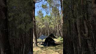 Naturehike Ango 3 Black Review naturehikeindonesia campervan [upl. by Eitsrik959]