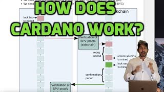 How Does Cardano Work [upl. by Mariska297]