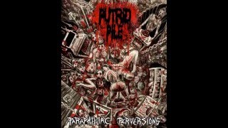 Putrid Pile  quotA Necrophiliacs Pastimequot Sevared Records 2016 [upl. by Nohsad997]