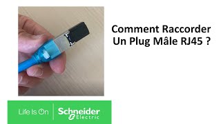 Comment raccorder un plug mâle RJ45   Schneider Electric [upl. by Aicirpac]