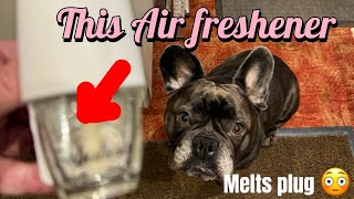 £299 Air Freshener Knackers my washer 😳😳😳 dog frenchie dailyvlog samsung washingmachine [upl. by Skiest]