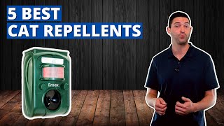 The Best Cat Repellents to Keep Those Pesky Cats Away [upl. by Sophie]