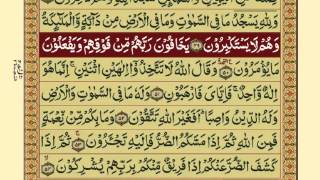 QuranPara1430Urdu Translation [upl. by Jacob]