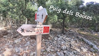 Mallorca  Zwei alte Halunken  Puig dels Boixos [upl. by Anear]