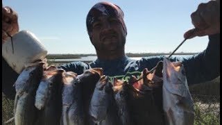 Bolivar Peninsula fishing explaining Tides Eddy and Fish [upl. by Edmondo]