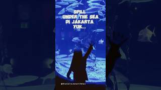 Spill Under The Sea JakartaAquarium [upl. by Amilb648]