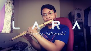 Flute Cover LARA  Hael Husaini Naim Daniel amp Haqiem Rusli [upl. by Eelrac]