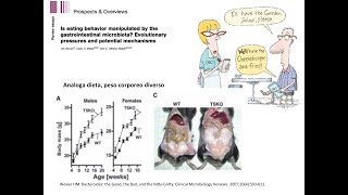 I recettori del gusto non solo sulla lingua controllati dal microbiota [upl. by Tteragram]