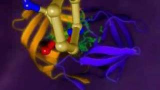 HIVMODE OF ACTION OF TIPRANAVIRUS [upl. by Zobe]