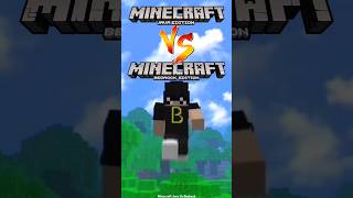 Minecraft Java vs Bedrock Differences You Didnt Know🔥 [upl. by Townie920]