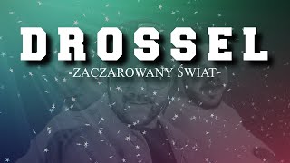 DROSSEL  ZACZAROWANY ŚWIAT VIDEO OFFICIAL LYRIC VIDEO [upl. by Neelat]