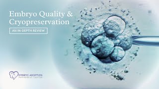 Embryo Quality amp Cryopreservation  How embryos are created amp how it affects your FET success [upl. by Errot933]