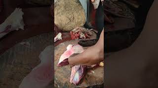 Cow Meat Process Excellent Butcher trending beef shorts [upl. by Dnana310]