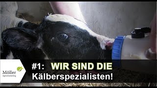 Wir sind DIE Kälberspezialisten Teil 1 Mit Alpuro Breeding vom gesunden Kalb zur Milchkuh [upl. by Kassaraba14]