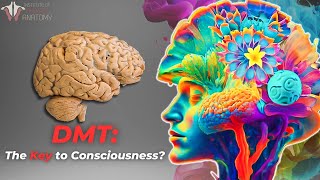 The Profound Potential of DMT  Psychedelic brain connections [upl. by Yraccaz]