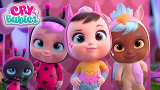 Together We Will Win 🏆 Cry Babies Magic Tears 💧 Kitoons New Friends  Cartoons for Kids in English [upl. by Kieryt]