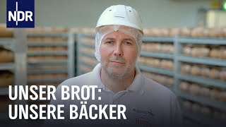 Handwerksbäcker Familienbetrieb und Brotfabrik Sie backen dein Brot  Unser Brot  NDR Doku [upl. by Ahsha340]