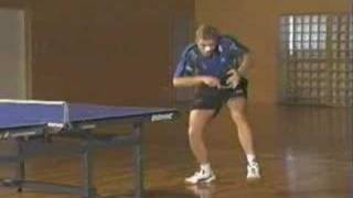 Topspin backhand vs push Persson [upl. by Setarcos115]