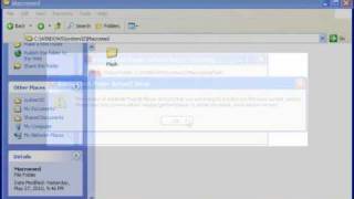 Unable to Remove Adobe Flash Player 10flv [upl. by Esenej26]