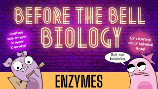 Enzymes Before the Bell Biology [upl. by Ydur]