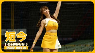 飛行機ダンス✈ 短今（Sammie）Passion Sisters 中信兄弟啦啦隊 cheerleader 치어리더 臺中洲際棒球場 202453【台湾チアTV】 [upl. by Haisa]