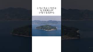 山口県の笠佐島が中国人に購入されてメガソーラーと国旗を掲げられる←これもう領土侵略だろ shorts [upl. by Dewhirst]