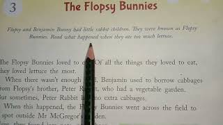 Chapter 3 quotThe flopsy bunniesquot in English Reader Class 3 [upl. by Naeerb115]