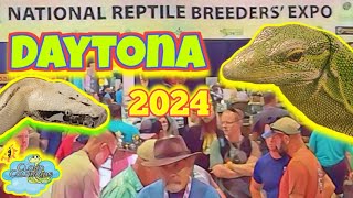 Daytona National Reptile Breeders Expo 2024 Full Walkthrough [upl. by Aillimac999]