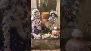 Radhe Krishna 🙏🥰 shiyam ke pyar me pagal song 🥰🙏😍harekrishna [upl. by Gomez]