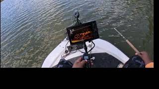 How to use Garmin LiveScope and catch a crappie off a loaded Brushpile [upl. by Aicilif]