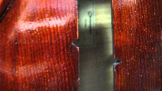 DB504T Christopher Upright Bass at FMI Bass Shop Pasadena CA [upl. by Aveline]