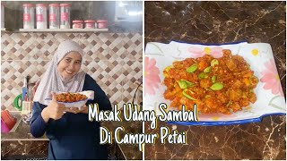 Masak Udang Sambal Campur Petai [upl. by Atyekram]