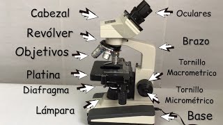 El microscopio y sus partes Explicación de cómo funciona BiologíayEcología clasesdebiología [upl. by Lorsung]