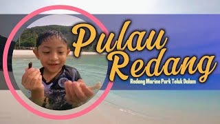 Redang Island  Redang Marine Park Teluk Dalam Part 1 [upl. by Gene986]