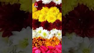 Bathukamma Popular Songs  Sithamma Vakita Uyyalo Song  Telangana Songs  Amulya Audios And Videos [upl. by Ivel800]