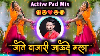 Jate Bajari Jaude Mala Insta Viral Dj Song  जाते बाजारी जाऊदे मला  Active Pad Mix Dj Balaji Jahire [upl. by Aenea]