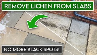 How to Remove Black Spots amp Lichen from Sandstone Slabs  Patio Cleaning [upl. by Yrok]