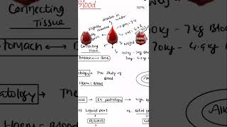 Blood  BIOLOGY  notes  class [upl. by Caves]