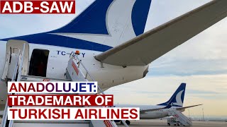 TRIP REPORT  ANADOLUJET Trademark of TURKISH AIRLINES  B737800 IzmirIstanbul Economy Class [upl. by Grew]