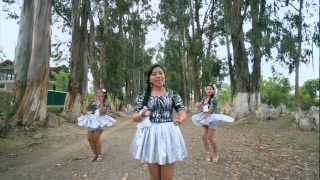 LAS GAVIOTITAS  NO SE PUEDE CONVIVIR VIDEO OFICIAL 2013 [upl. by Manning698]