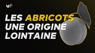 Les abricots viennent de loin… Très loin [upl. by Nnazil543]