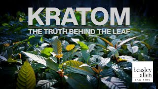 Kratom The Truth Behind The Leaf [upl. by Nahshon742]