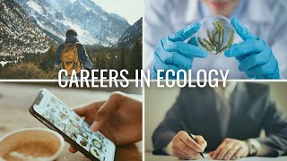 The 4 Types of Careers in Ecology  Careers in Biology and Environmental Science [upl. by Blackstock]